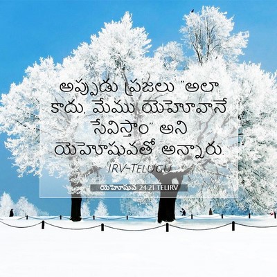 Picture 07 - యెహోషువ 24:21 TELIRV - అప్పుడు ప్రజలు - Bible Verse Picture