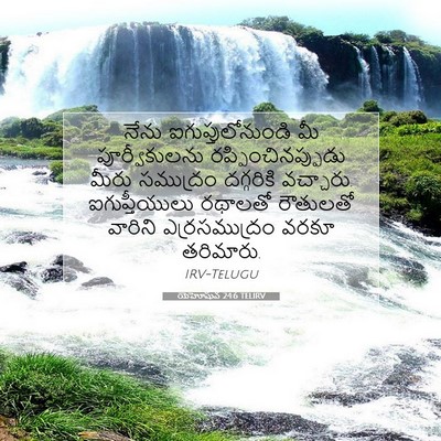 Picture 07 - యెహోషువ 24:6 TELIRV - నేను - Bible Verse Picture