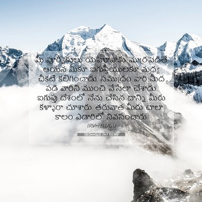 Picture 07 - యెహోషువ 24:7 TELIRV - మీ పూర్వీకులు - Bible Verse Picture
