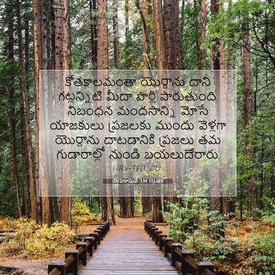 Picture 07 - యెహోషువ 3:14 TELIRV - కోతకాలమంతా - Bible Verse Picture