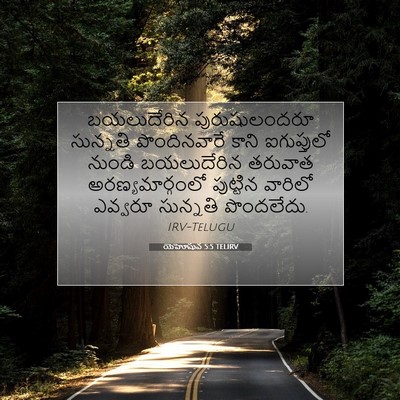 Picture 07 - యెహోషువ 5:5 TELIRV - బయలుదేరిన - Bible Verse Picture