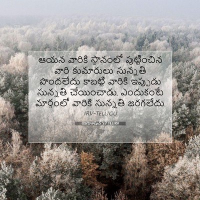 Picture 07 - యెహోషువ 5:7 TELIRV - ఆయన వారికి - Bible Verse Picture