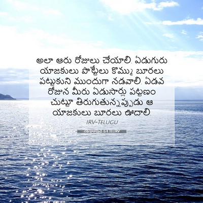 Picture 07 - యెహోషువ 6:4 TELIRV - అలా ఆరు రోజులు - Bible Verse Picture