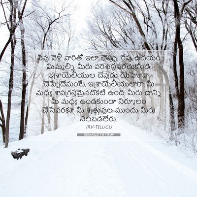 Picture 07 - యెహోషువ 7:13 TELIRV - నీవు వెళ్లి - Bible Verse Picture