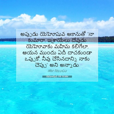 Picture 07 - యెహోషువ 7:19 TELIRV - అప్పుడు యెహోషువ - Bible Verse Picture