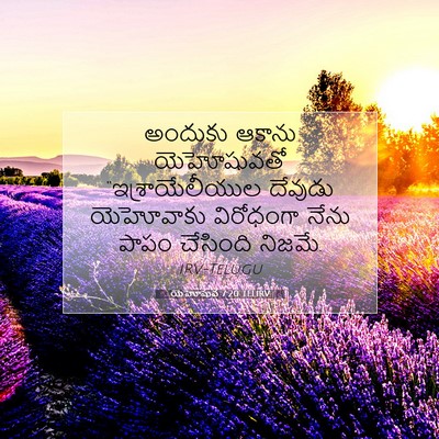 Picture 07 - యెహోషువ 7:20 TELIRV - అందుకు ఆకాను - Bible Verse Picture