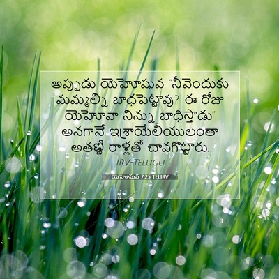 Picture 07 - యెహోషువ 7:25 TELIRV - అప్పుడు యెహోషువ - Bible Verse Picture