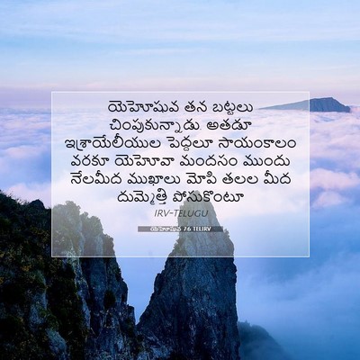 Picture 07 - యెహోషువ 7:6 TELIRV - యెహోషువ తన బట్టలు - Bible Verse Picture