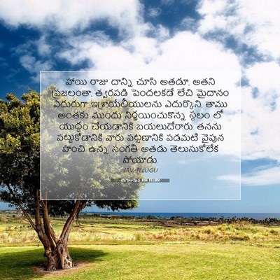 Picture 07 - యెహోషువ 8:14 TELIRV - హాయి రాజు దాన్ని - Bible Verse Picture