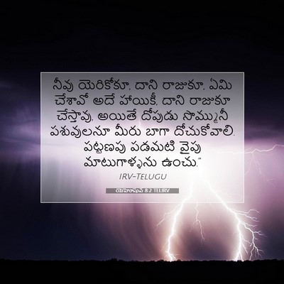 Picture 07 - యెహోషువ 8:2 TELIRV - నీవు యెరికోకూ, - Bible Verse Picture