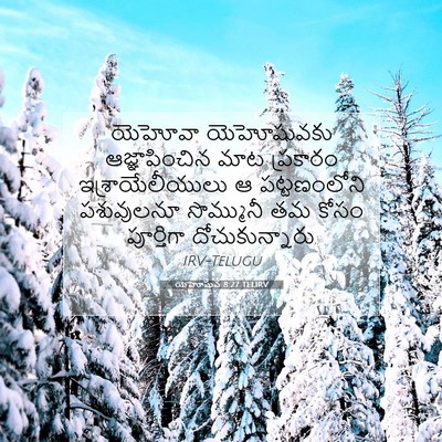 Picture 07 - యెహోషువ 8:27 TELIRV - యెహోవా యెహోషువకు - Bible Verse Picture