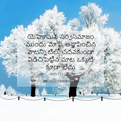 Picture 07 - యెహోషువ 8:35 TELIRV - యెహోషువ సర్వసమాజం - Bible Verse Picture