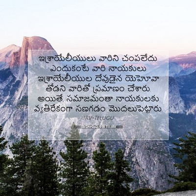 Picture 07 - యెహోషువ 9:18 TELIRV - ఇశ్రాయేలీయులు - Bible Verse Picture
