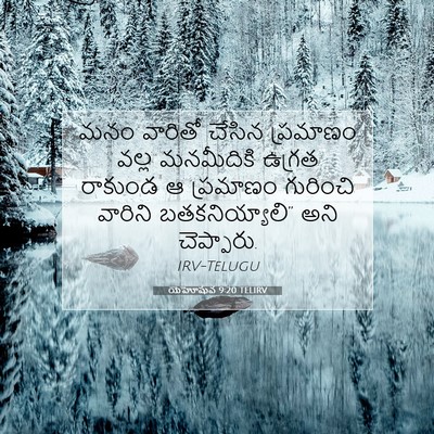 Picture 07 - యెహోషువ 9:20 TELIRV - మనం వారితో చేసిన - Bible Verse Picture