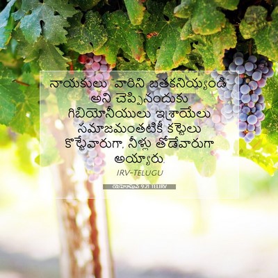 Picture 07 - యెహోషువ 9:21 TELIRV - నాయకులు “వారిని - Bible Verse Picture