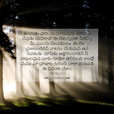 Picture 07 - యెహోషువ 9:24 TELIRV - అందుకు వారు - Bible Verse Picture