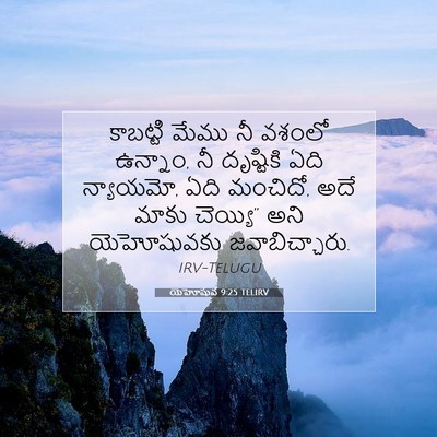 Picture 07 - యెహోషువ 9:25 TELIRV - కాబట్టి మేము నీ - Bible Verse Picture