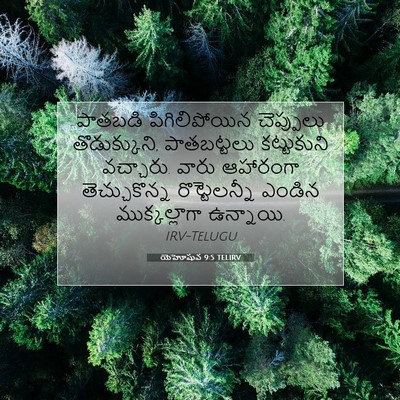 Picture 07 - యెహోషువ 9:5 TELIRV - పాతబడి - Bible Verse Picture