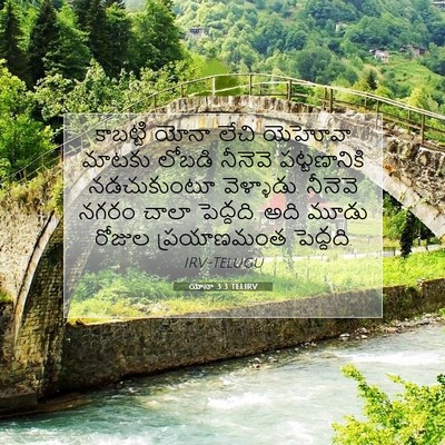 Picture 07 - యోనా 3:3 TELIRV - కాబట్టి యోనా లేచి - Bible Verse Picture