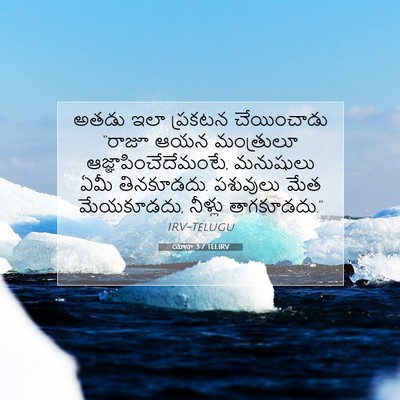 Picture 07 - యోనా 3:7 TELIRV - అతడు ఇలా ప్రకటన - Bible Verse Picture