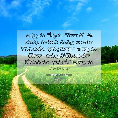 Picture 07 - యోనా 4:9 TELIRV - అప్పుడు దేవుడు - Bible Verse Picture