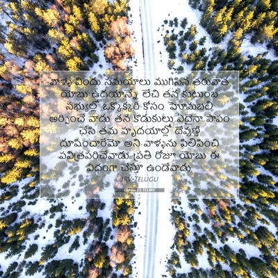 Picture 07 - యోబు 1:5 TELIRV - వాళ్ళ విందు - Bible Verse Picture