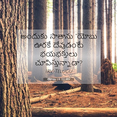 Picture 07 - యోబు 1:9 TELIRV - అందుకు సాతాను - Bible Verse Picture