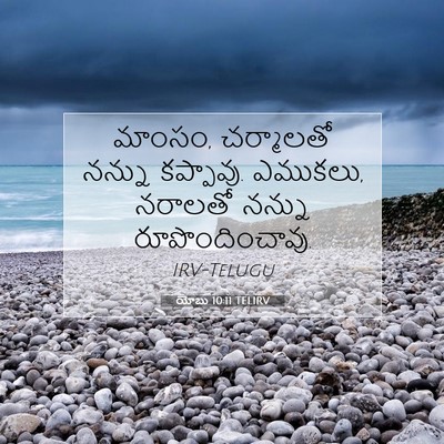 Picture 07 - యోబు 10:11 TELIRV - మాంసం, చర్మాలతో - Bible Verse Picture