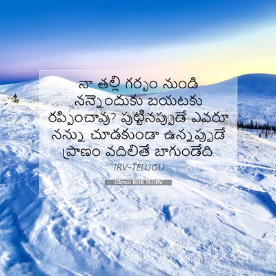 Picture 07 - యోబు 10:18 TELIRV - నా తల్లి గర్భం - Bible Verse Picture