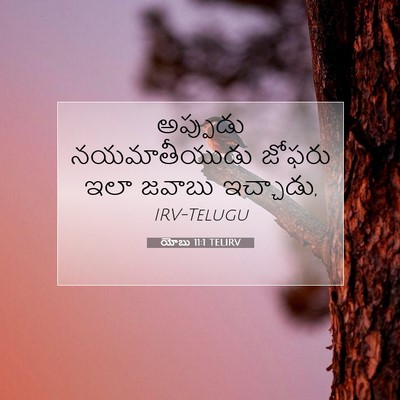 Picture 07 - యోబు 11:1 TELIRV - అప్పుడు - Bible Verse Picture
