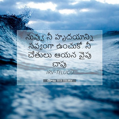 Picture 07 - యోబు 11:13 TELIRV - నువ్వు నీ - Bible Verse Picture