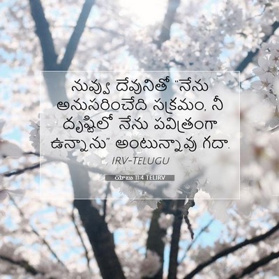 Picture 07 - యోబు 11:4 TELIRV - నువ్వు దేవునితో - Bible Verse Picture