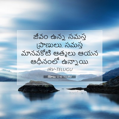 Picture 07 - యోబు 12:10 TELIRV - జీవం ఉన్న సమస్త - Bible Verse Picture