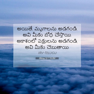Picture 07 - యోబు 12:7 TELIRV - అయితే, మృగాలను - Bible Verse Picture