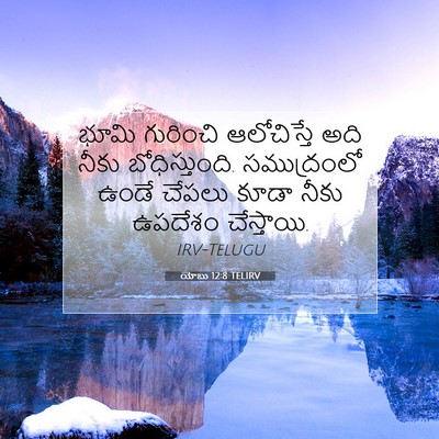 Picture 07 - యోబు 12:8 TELIRV - భూమి గురించి - Bible Verse Picture