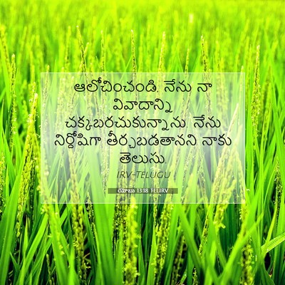 Picture 07 - యోబు 13:18 TELIRV - ఆలోచించండి, నేను - Bible Verse Picture