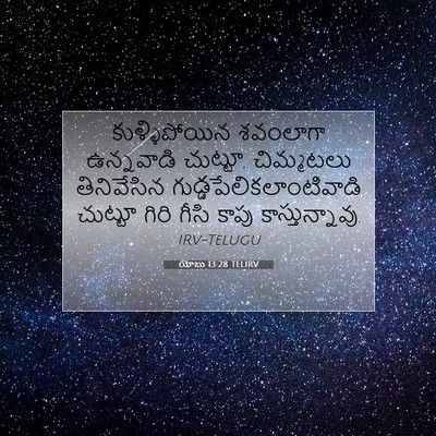 Picture 07 - యోబు 13:28 TELIRV - కుళ్ళిపోయిన - Bible Verse Picture