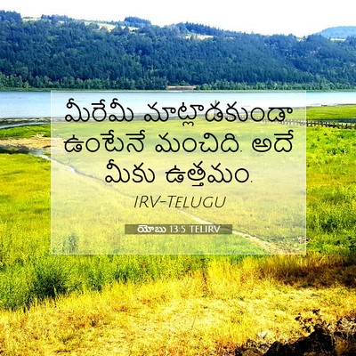 Picture 07 - యోబు 13:5 TELIRV - మీరేమీ - Bible Verse Picture