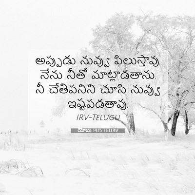 Picture 07 - యోబు 14:15 TELIRV - అప్పుడు నువ్వు - Bible Verse Picture