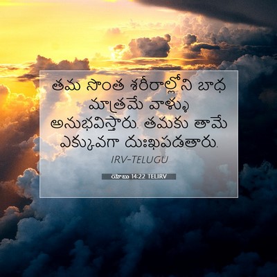 Picture 07 - యోబు 14:22 TELIRV - తమ సొంత - Bible Verse Picture