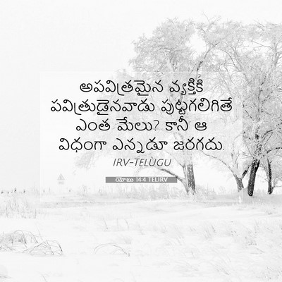 Picture 07 - యోబు 14:4 TELIRV - అపవిత్రమైన - Bible Verse Picture