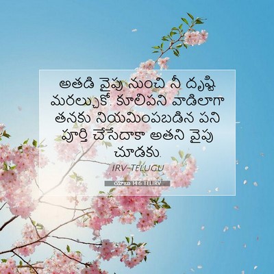 Picture 07 - యోబు 14:6 TELIRV - అతడి వైపు నుంచి నీ - Bible Verse Picture