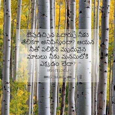 Picture 07 - యోబు 15:11 TELIRV - దేవుడిచ్చిన - Bible Verse Picture