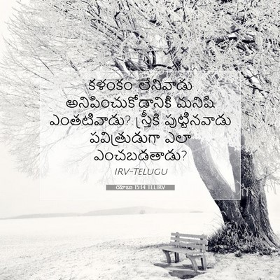 Picture 07 - యోబు 15:14 TELIRV - కళంకం లేనివాడు - Bible Verse Picture
