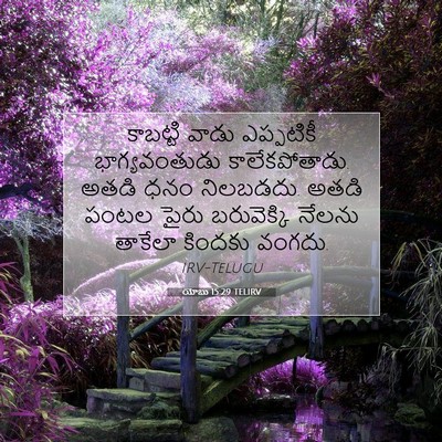 Picture 07 - యోబు 15:29 TELIRV - కాబట్టి వాడు - Bible Verse Picture
