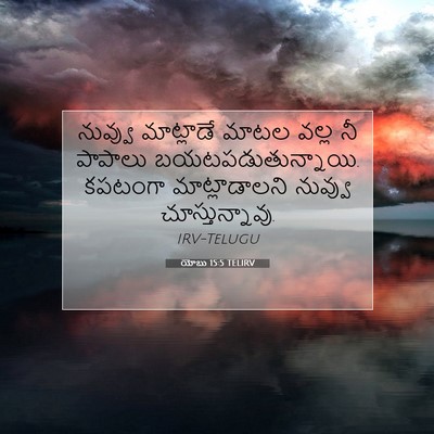 Picture 07 - యోబు 15:5 TELIRV - నువ్వు మాట్లాడే - Bible Verse Picture