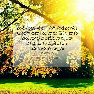 Picture 07 - యోబు 16:10 TELIRV - మనుషులు నన్ను - Bible Verse Picture