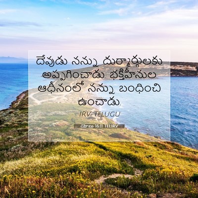 Picture 07 - యోబు 16:11 TELIRV - దేవుడు నన్ను - Bible Verse Picture