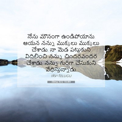 Picture 07 - యోబు 16:12 TELIRV - నేను మౌనంగా - Bible Verse Picture