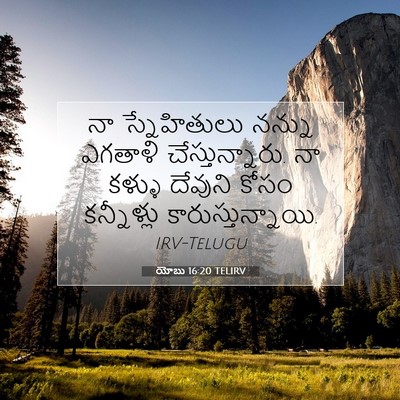 Picture 07 - యోబు 16:20 TELIRV - నా స్నేహితులు - Bible Verse Picture